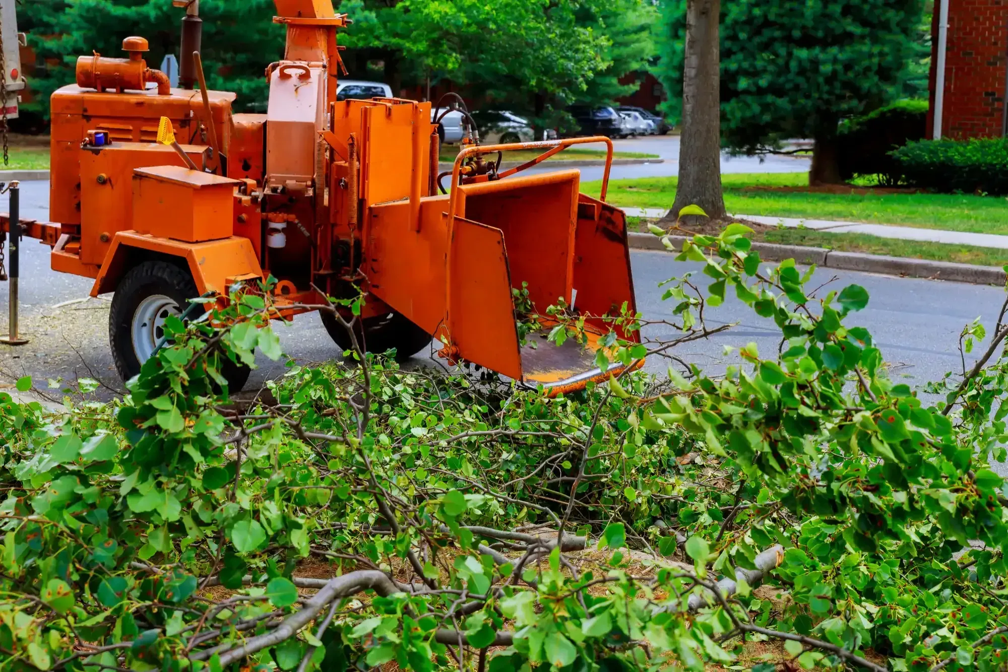 Orange wood chipper parked beside a pile of freshly cut green brush and branches
