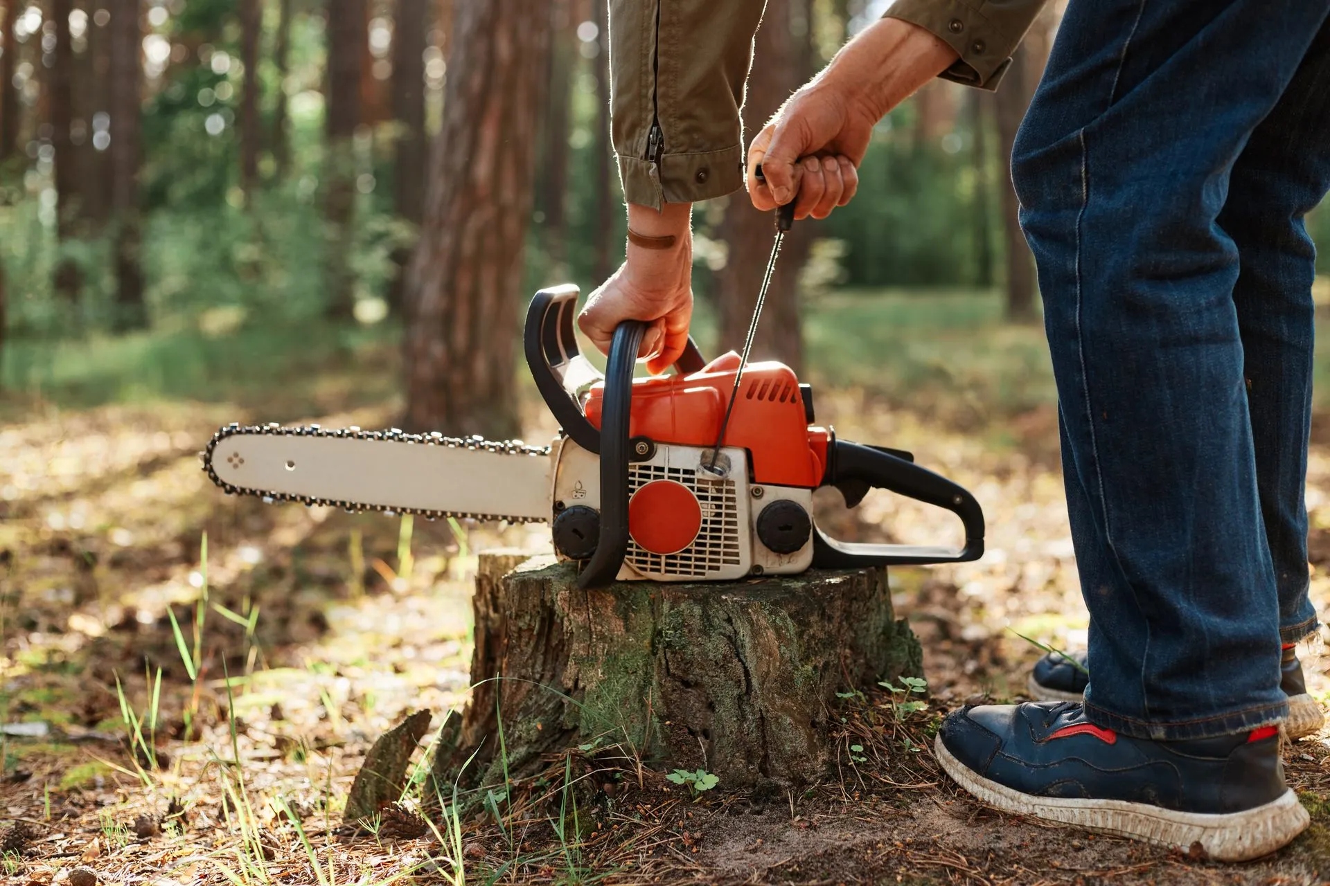 A man is using a chainsaw to cut a tree stump in the woods.