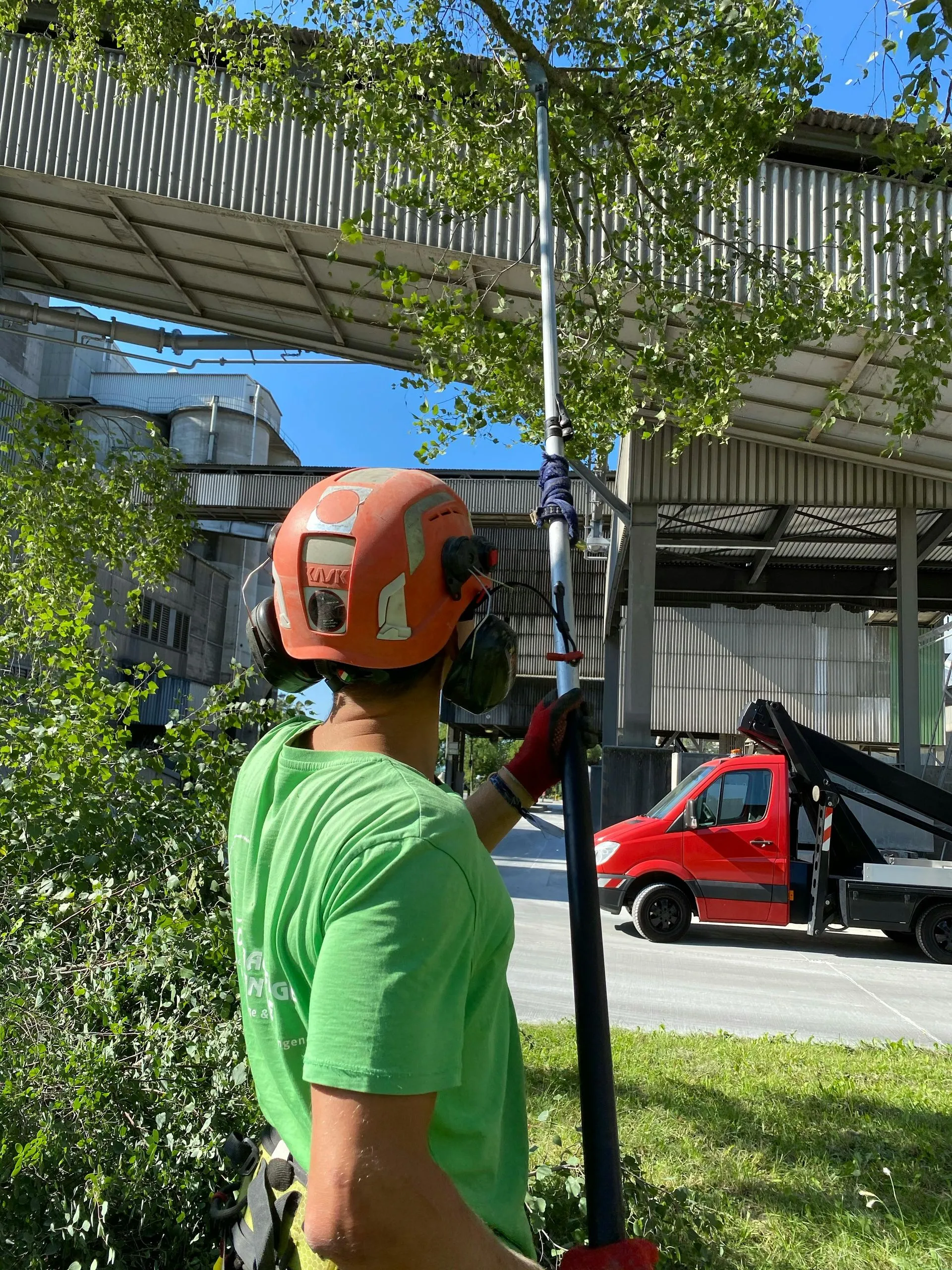 A man wearing a helmet and a green shirt is cutting a tree.